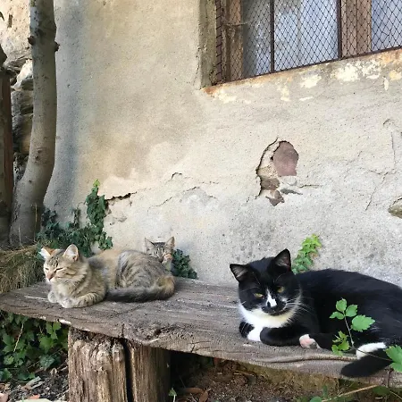 Ca' Di Nobi Podio Val Maira *